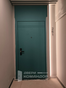 Зелёная входная дверь с фальшфрамугой, с временной панелью и девиаторами