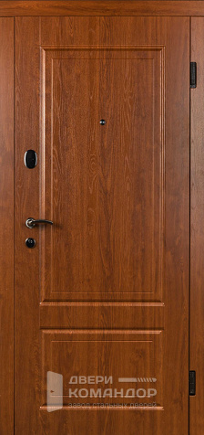 Железная дверь входная на дачу №51 - наружная сторона