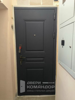 Входная дверь Барселона АСД, с обрезкой наличника, с наращиванием проёма