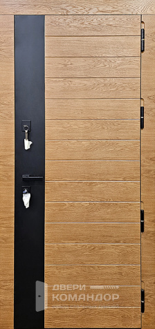 Железная дверь с терморазрывом для частного дома №68 - наружная сторона