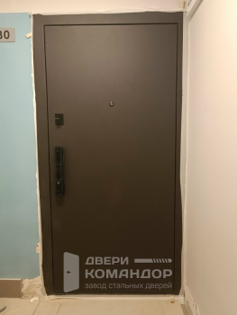 Входная дверь Stardis Comfort  с биометрическим замком