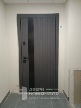 Входная дверь Stardis Trend с декоративным черным молдингом