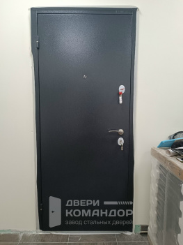 Входная дверь Torex Берн