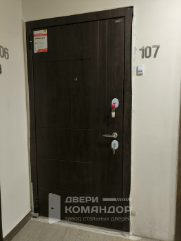 Входная дверь Bravo R-3