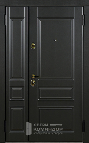 Дверь металлическая двухстворчатая МДФ №13 - наружная сторона