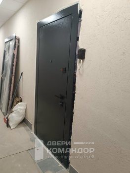 Входная дверь Stardis Expert  с временной панелью