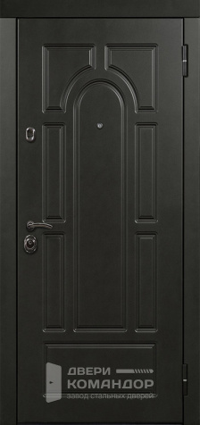 Дверь уличная металлическая утепленная №29 - наружная сторона