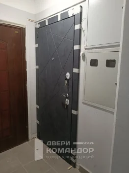 Входная дверь Графит Арт / Супер Вайт / Лунный камень