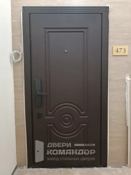 Входная дверь с биометрическим замком