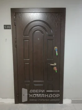 Входная дверь шпон / эмаль с окраской металла в два цвета